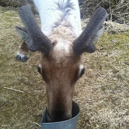 别墅 Heggmoen 波多