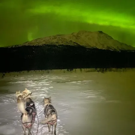 Heggmoen Villa Bodø