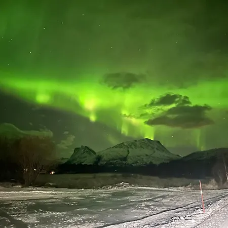 Heggmoen Bodø