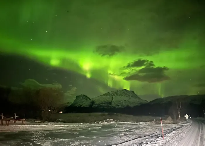 Heggmoen Bodø